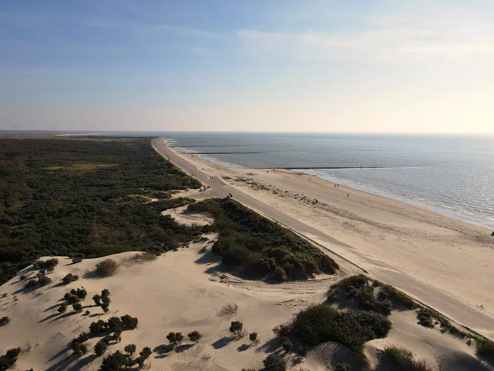 Luftaufnahme des Borkumer Südstrands mit Strand, Dünen, Inselwald und Nordsee
